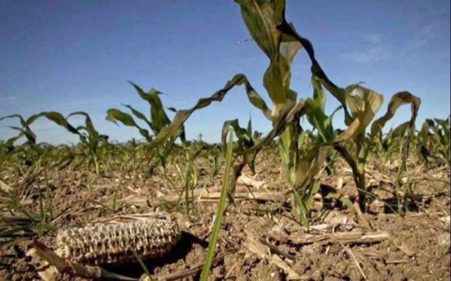 Sequía: extienden la emergencia agropecuaria en campos del sudoeste de la Provincia de Buenos Aires