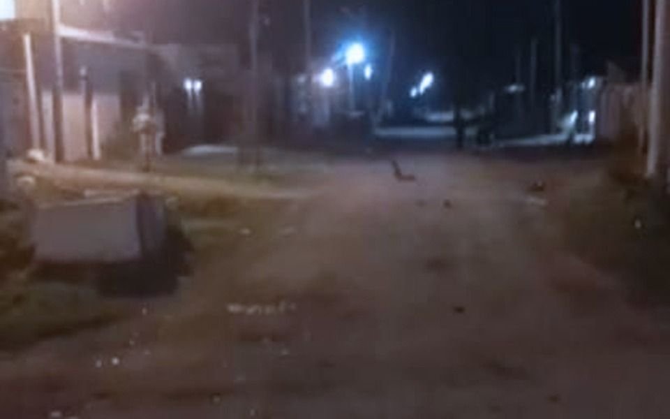 Madrugada sangrienta en un barrio de La Plata: matan a un hombre de un puntazo y detienen a cinco sospechosos