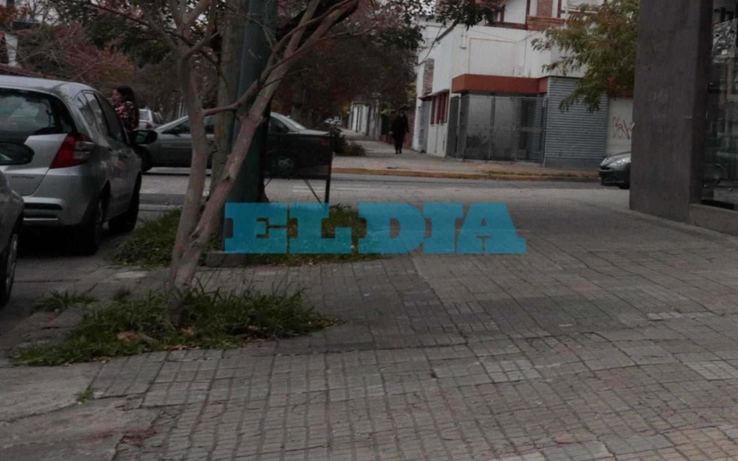 Otra entradera en La Plata con tres encapuchados y una jubilada como víctima: culatazo y "la agarraron de los pelos"