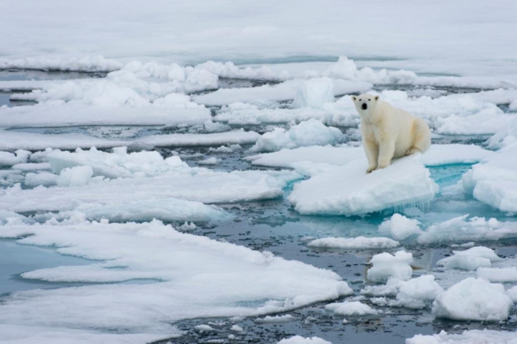Alarma por el Ártico: se quedaría sin hielo en 2030