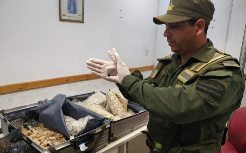 Venían a La Plata, les escanearon las valijas y hallaron 23 kilos de drogas sintéticas: presos