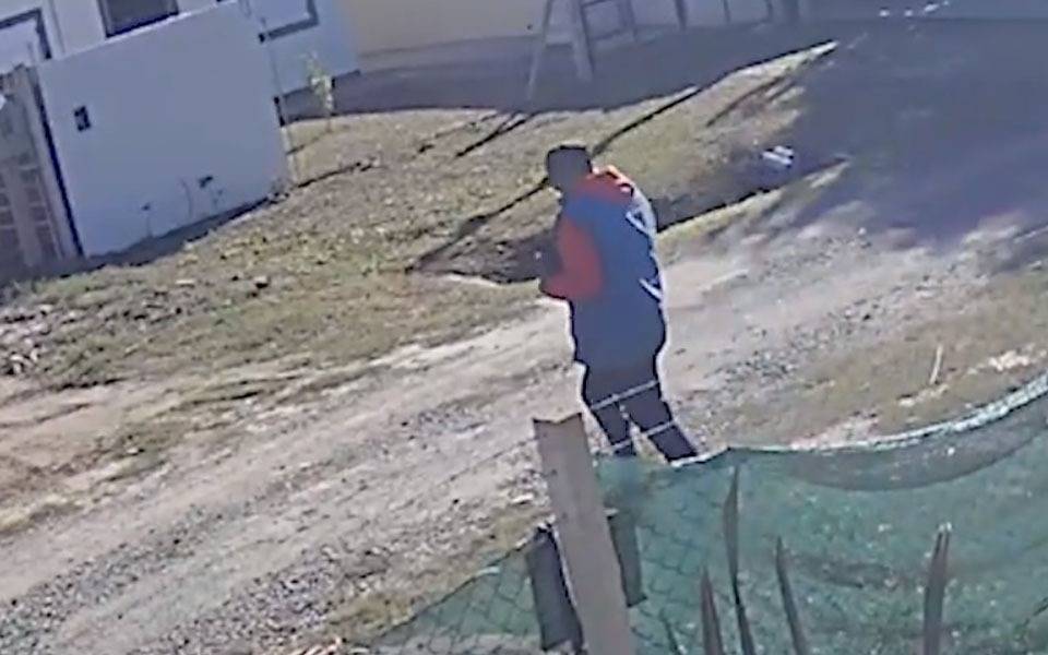 VIDEO. Sin piedad, así despojaron a una familia de un cachorrito de tres meses