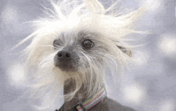 ¡Llegó el invierno! Miércoles húmedo, con débiles lloviznas y 14º en La Plata: así sigue el clima