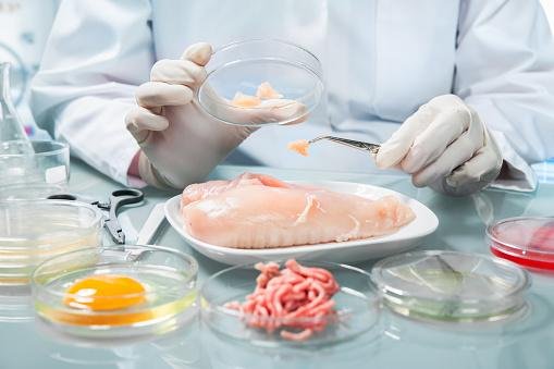 El pollo de laboratorio tiene allanado su camino a la mesa: cómo se produce y qué ventajas ofrece