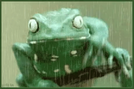 Lunes amenazado por lluvias en La Plata: el pronóstico del tiempo para la semana