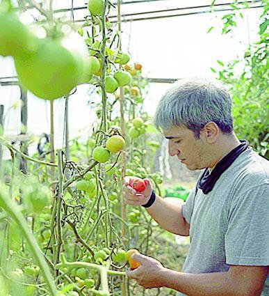 “Lo que no engorda mata”: una serie explora nuestra relación con la comida
