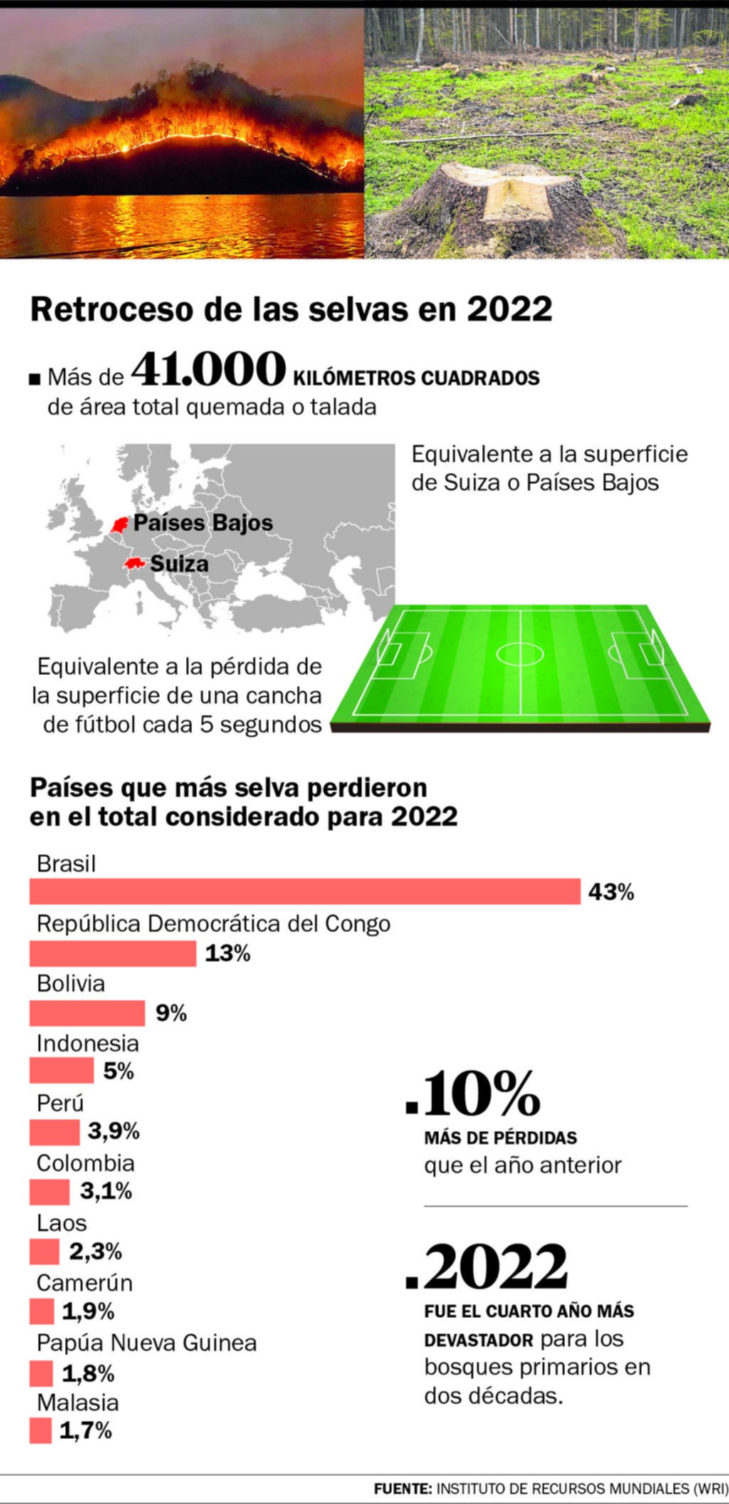 La selva que se pierde: una cancha cada cinco segundos