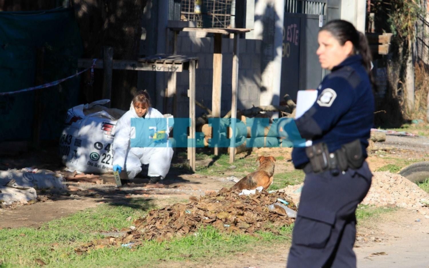 Doble Femicidio En La Plata Cuidame A Los Nenes El Llamado Tras Matar A Su Ex Pareja Y La 0740