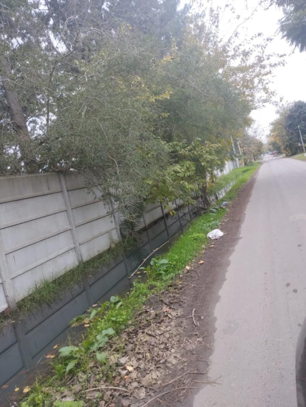 Reclaman limpieza de zanjas en 12 y 488 de Gonnet