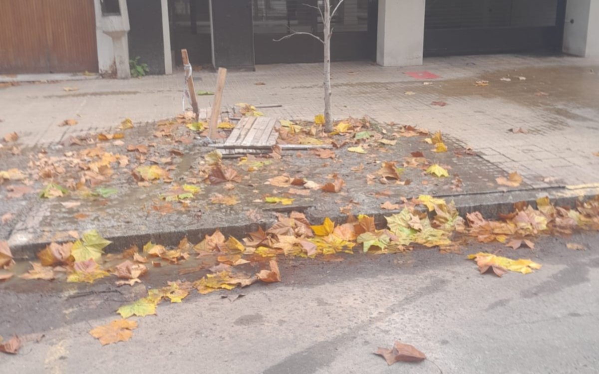Aguas servidas a metros del Ministerio de Salud en La Plata