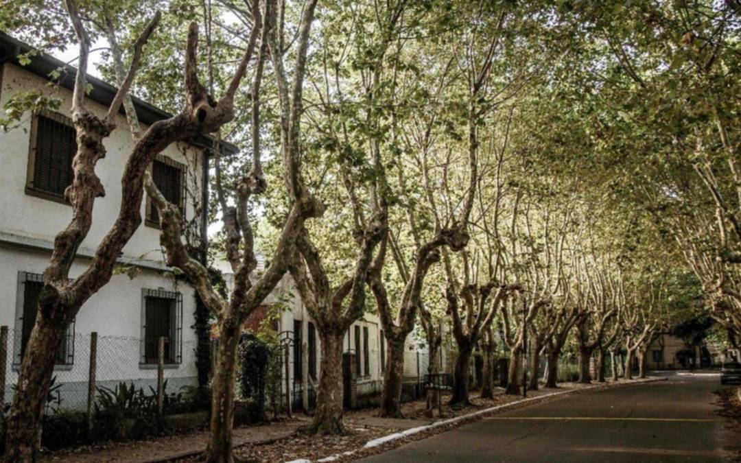 Jueves agradable en Quilmes