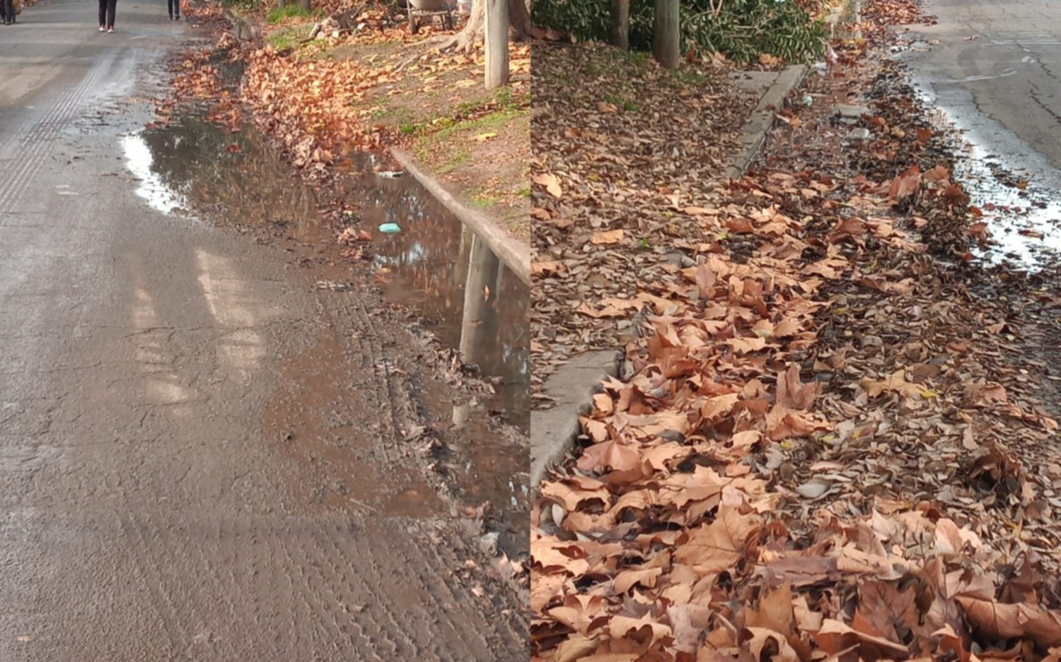 Vecinos denuncian “estado de abandono” en una zona de San Carlos