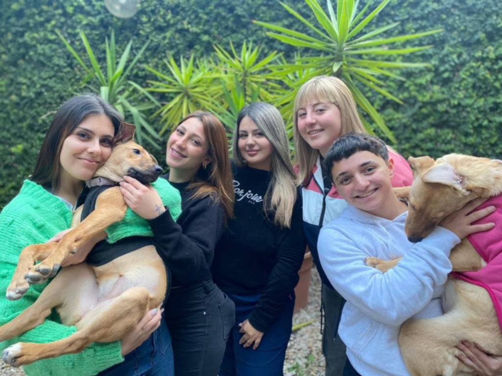 Platenses que cambiaron sus vidas para ayudar a los animales