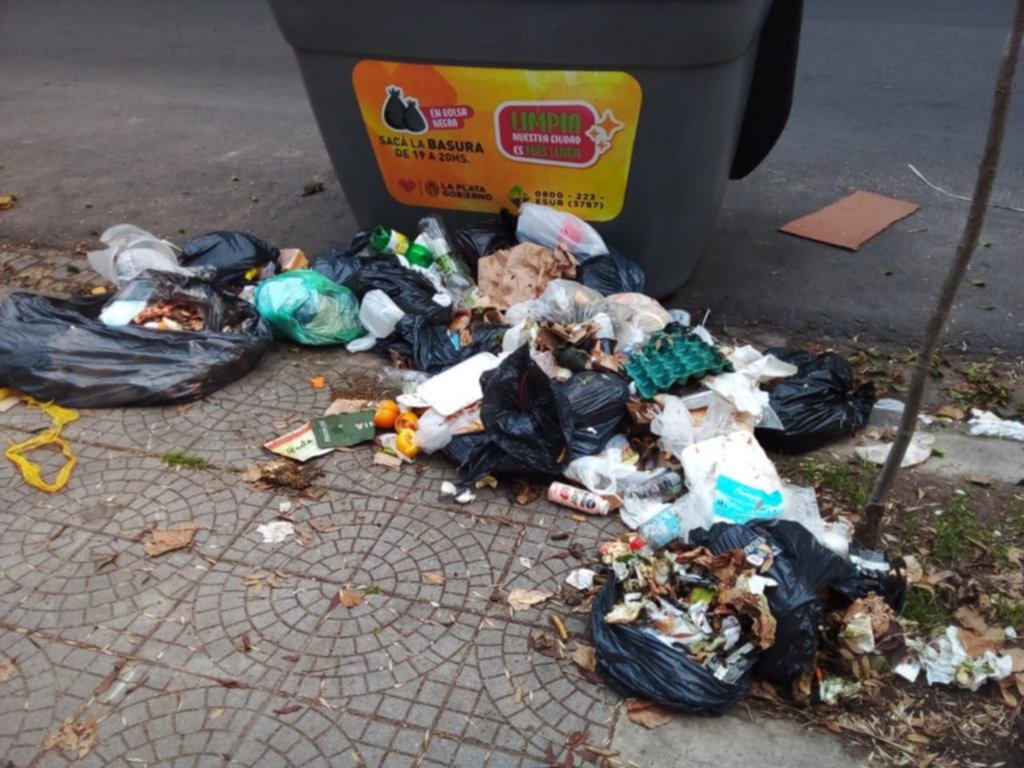 Basura junto a un contenedor en la zona de 3 y 57