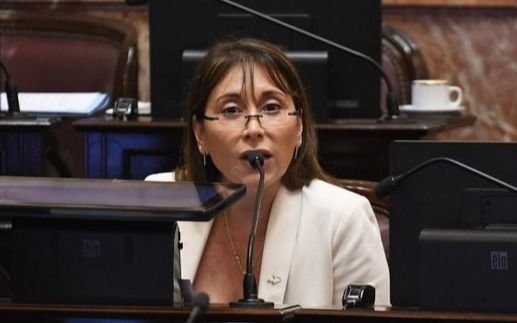 Polémica frase de una senadora kirchnerista: "Javier Milei es un enfermo mental"