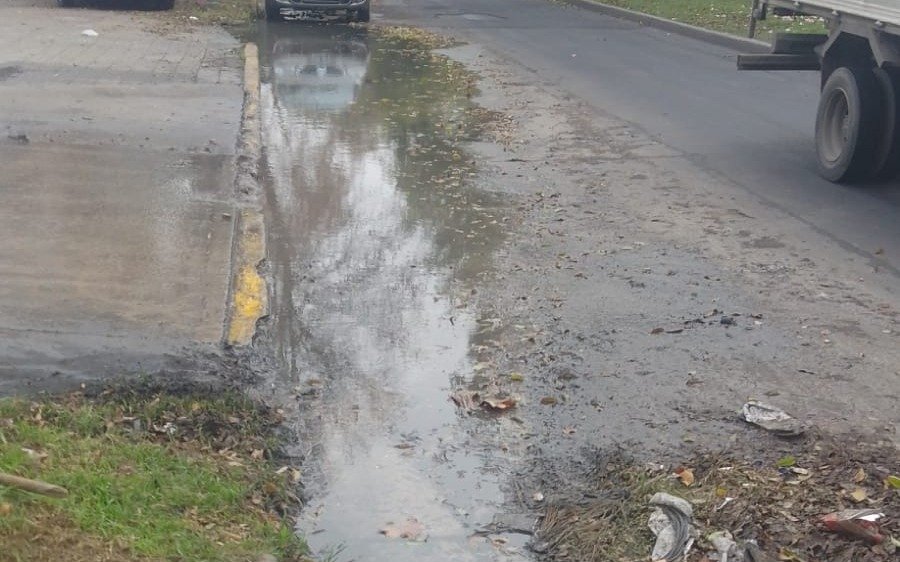 Una pérdida de agua convertida en una "laguna" en La Plata