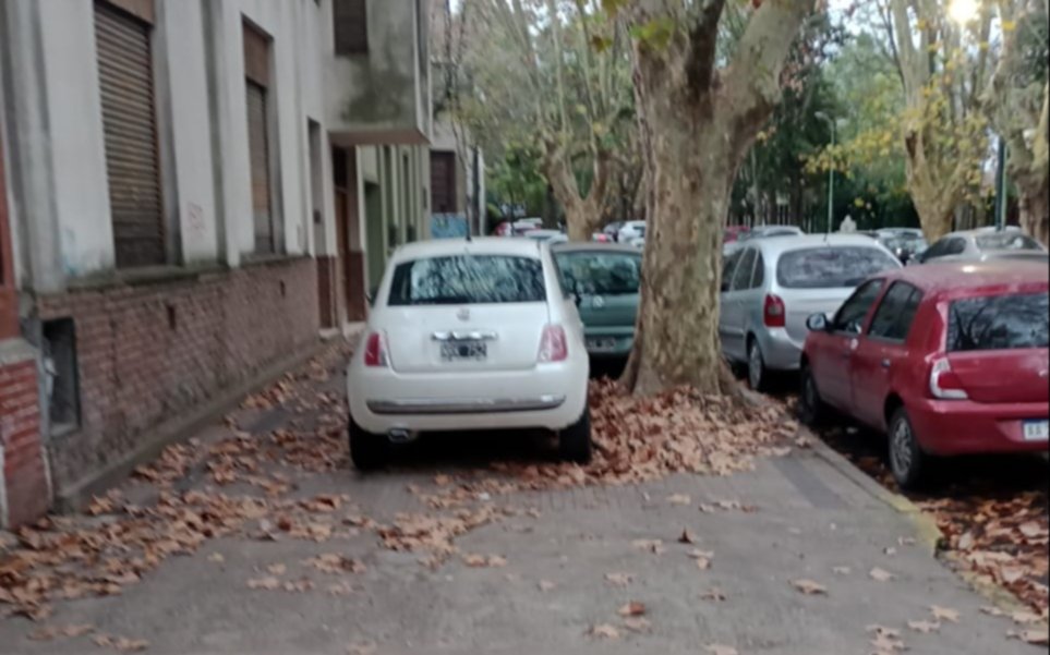 El "estacioná donde quieras" no da respiro en La Plata