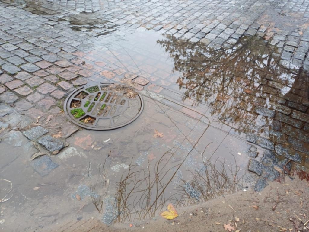 Una pérdida que ya parece un río en una zona céntrica