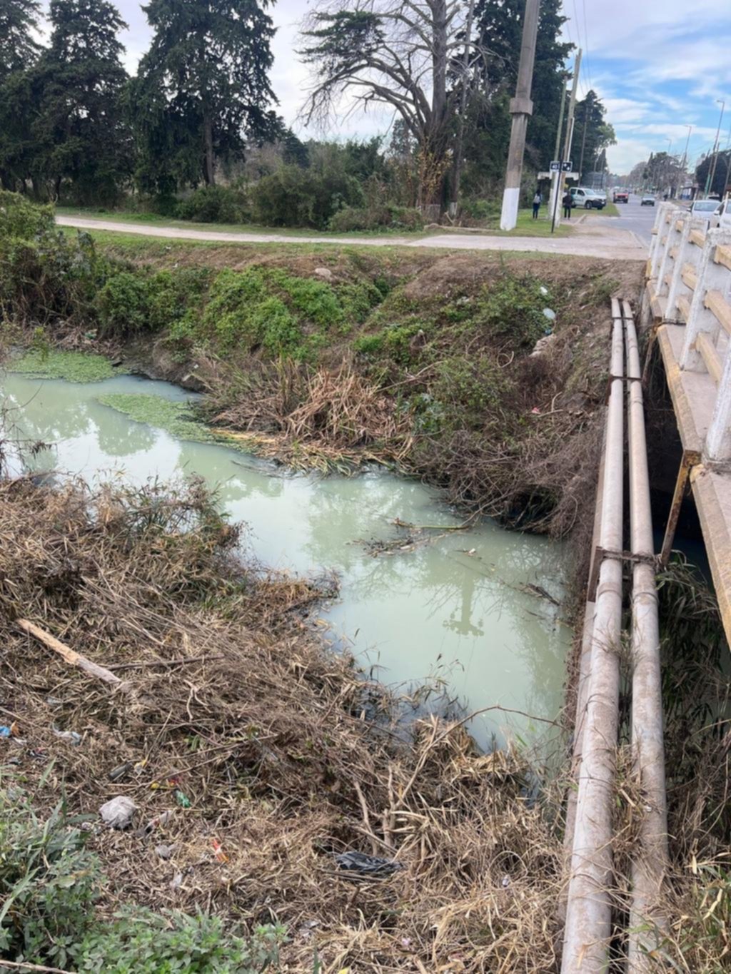 Una bomba sanitaria pone en jaque a vecinos de un amplio sector de Berisso