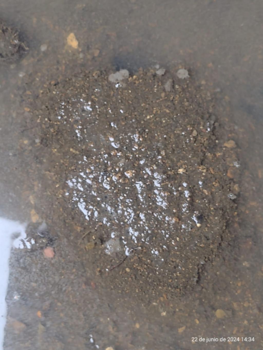 Riesgo sanitario por las cloacas en un barrio platense