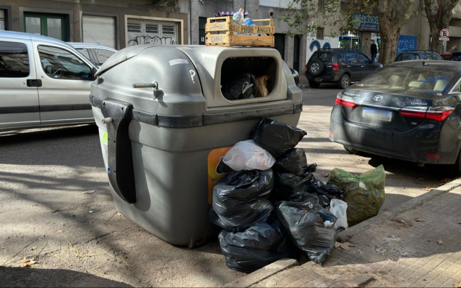 "Explotan" los contenedores de basura en el centro de La Plata