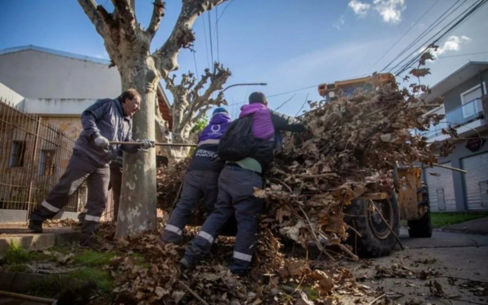 Siguen los operativos de poda en Quilmes