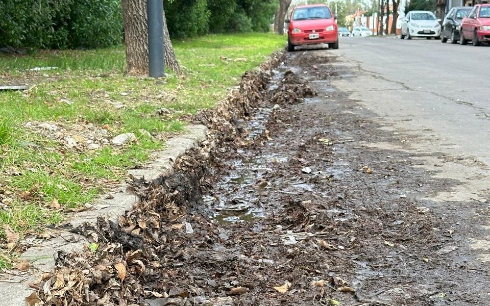 Barro, basura y acumulación de hojas en un barrio de La Plata