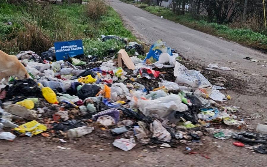 Basura y ratas en un barrio de La Plata: "Preocupa"