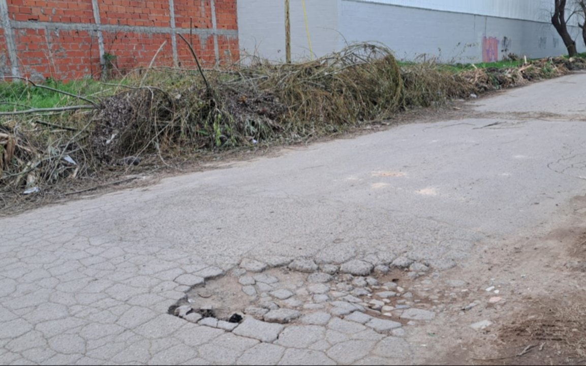 Ramas acumuladas, un problema para los vecinos de un barrio de La Plata