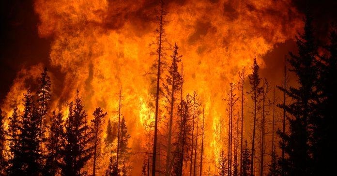 Incendios forestales: más contaminantes que los aviones