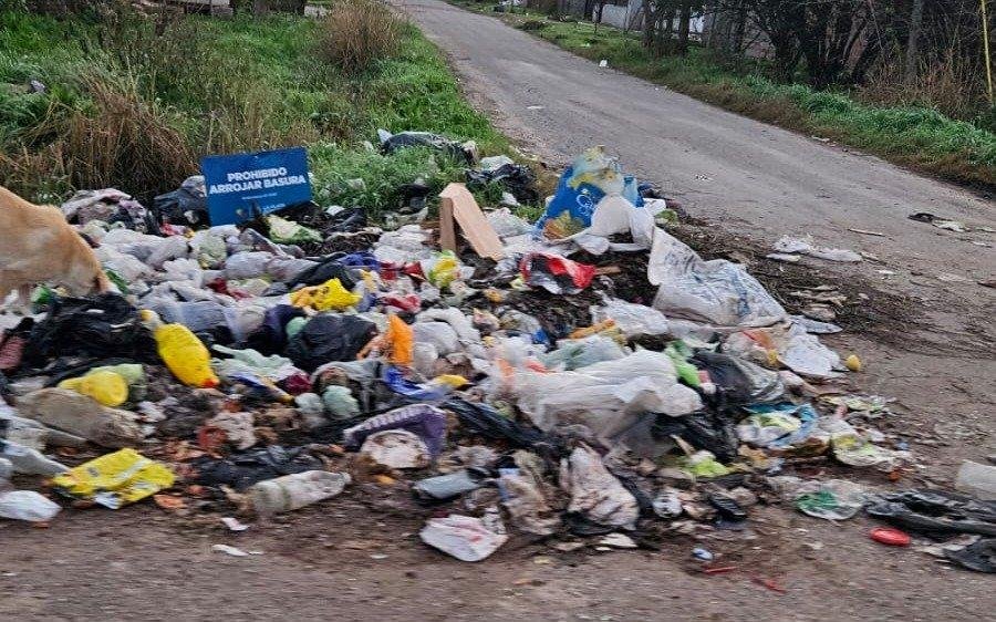 Un basural “llamador de roedores” en 167 y 59