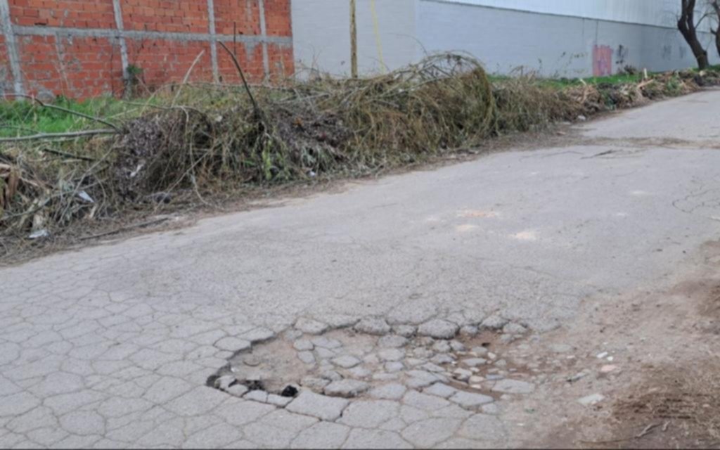 Quejas por las ramas acumuladas en San Carlos
