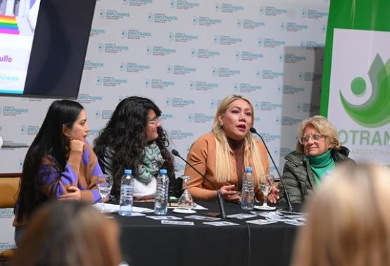 Se presentó en La Plata el primer Museo Itinerante Travesti Trans Argentina