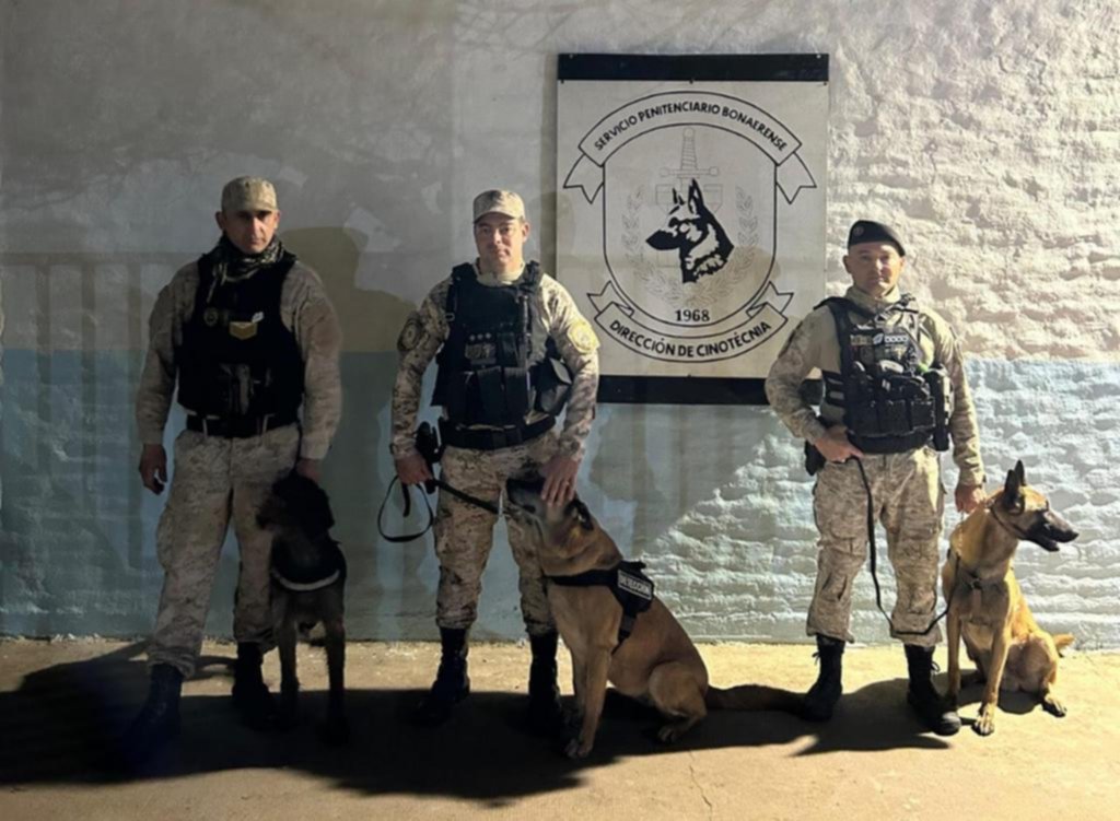 En un caso plagado de dudas, el rol de los únicos que no mienten: los perros