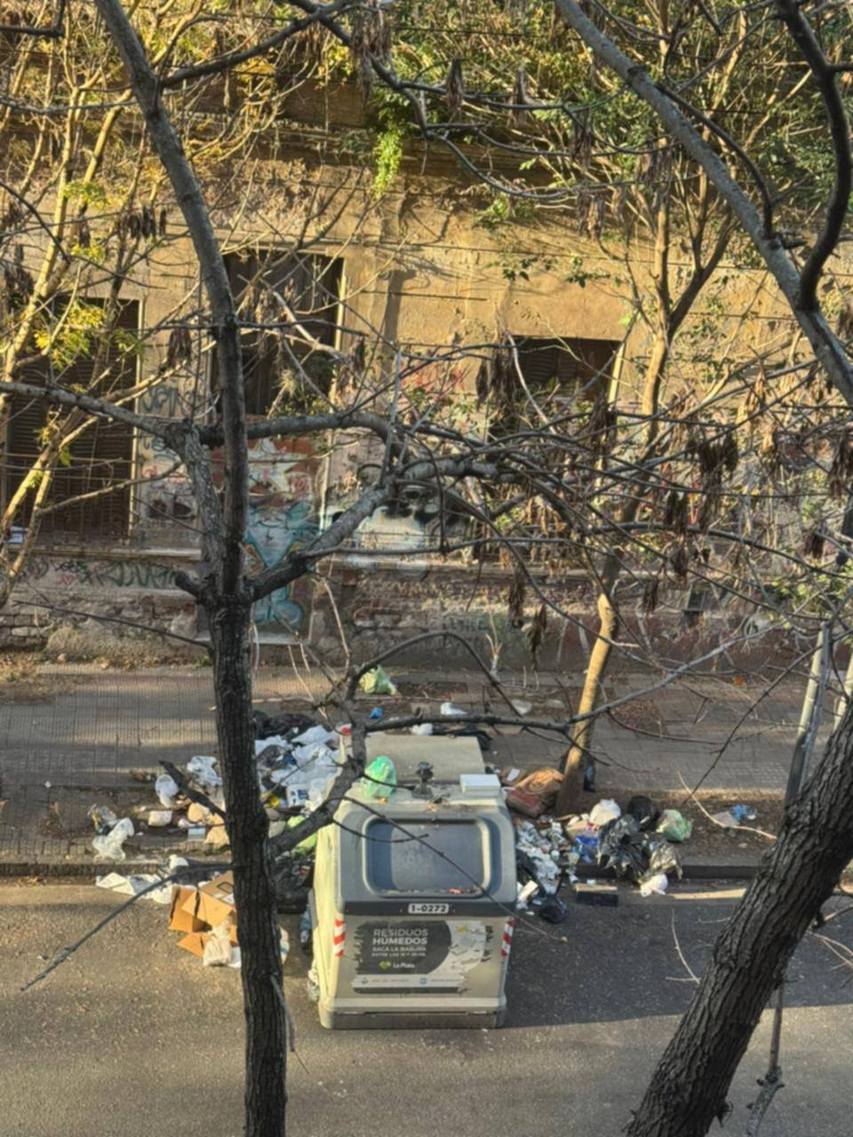 En el casco urbano, denuncian “reincidente” acumulación de basura