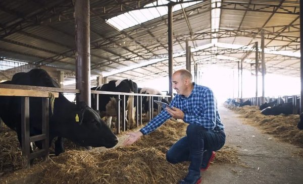 ¡Ganadería y Agricultura en Argentina Unidas! La Clave para un Futuro Agro Rentable y Sostenible