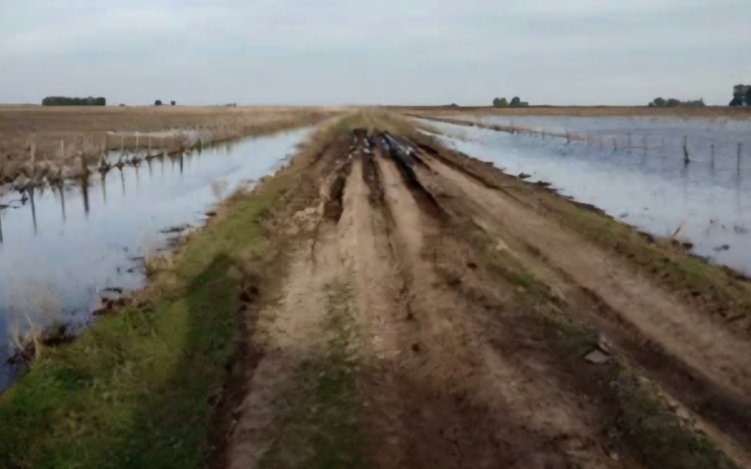 Emergencia agropecuaria en seis distritos por lluvias: caminos cortados y campos inundados