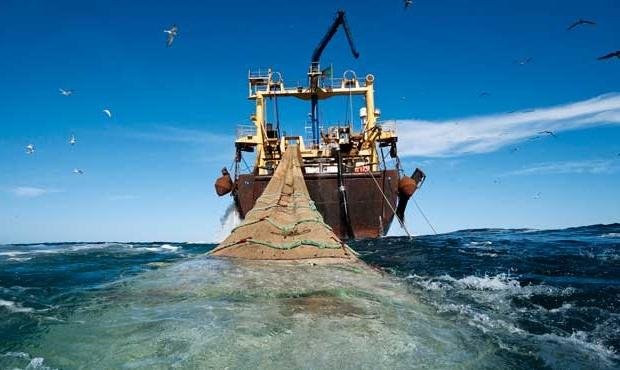 Cuidado de los mares: hay acuerdo, pero no se cumple