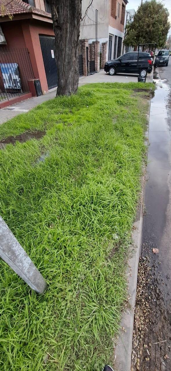 Reclamo por una pérdida de agua que crece en 519 entre 7 y 8, de Ringuelet