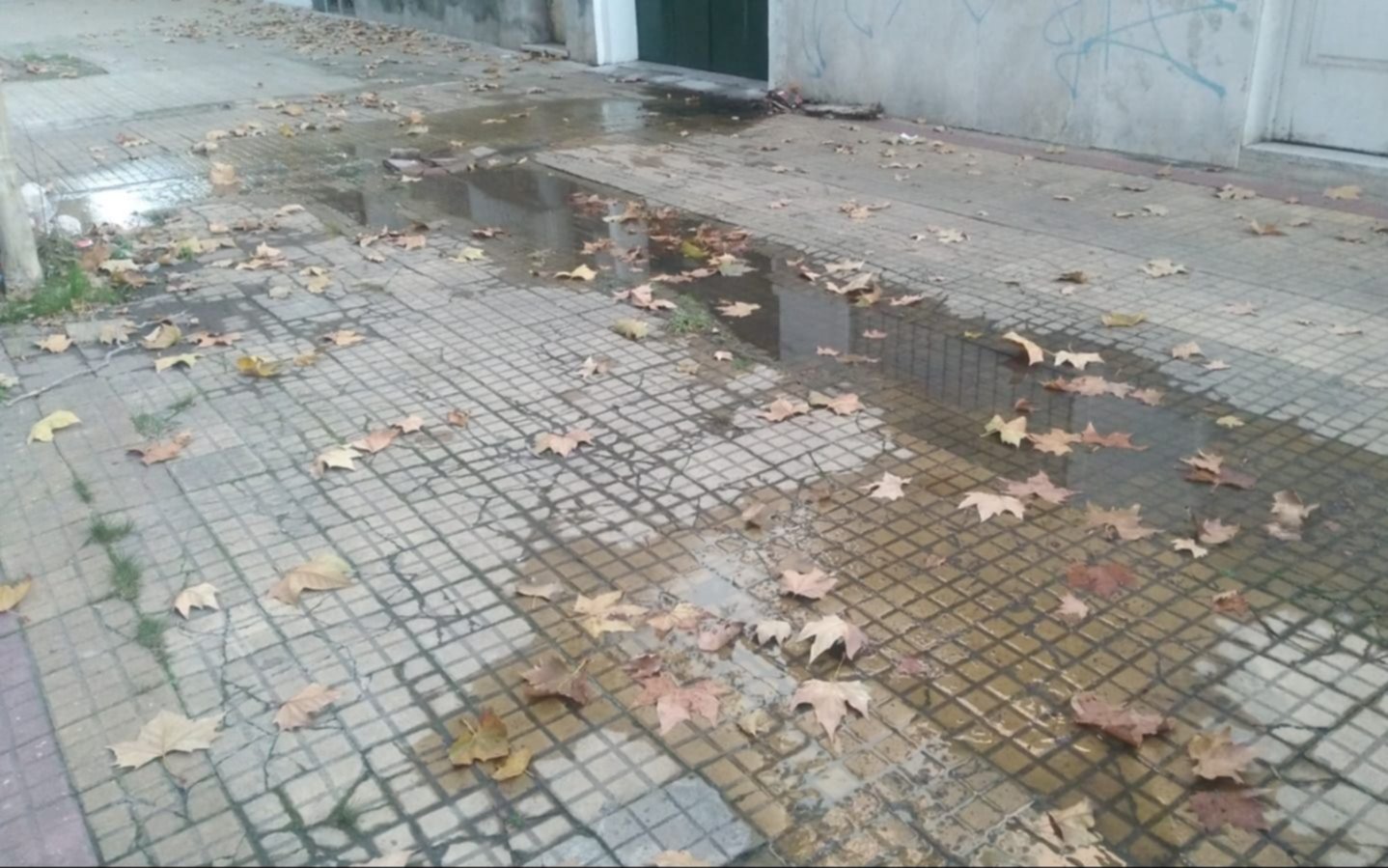 Reclamo por una pérdida de agua en el centro de La Plata