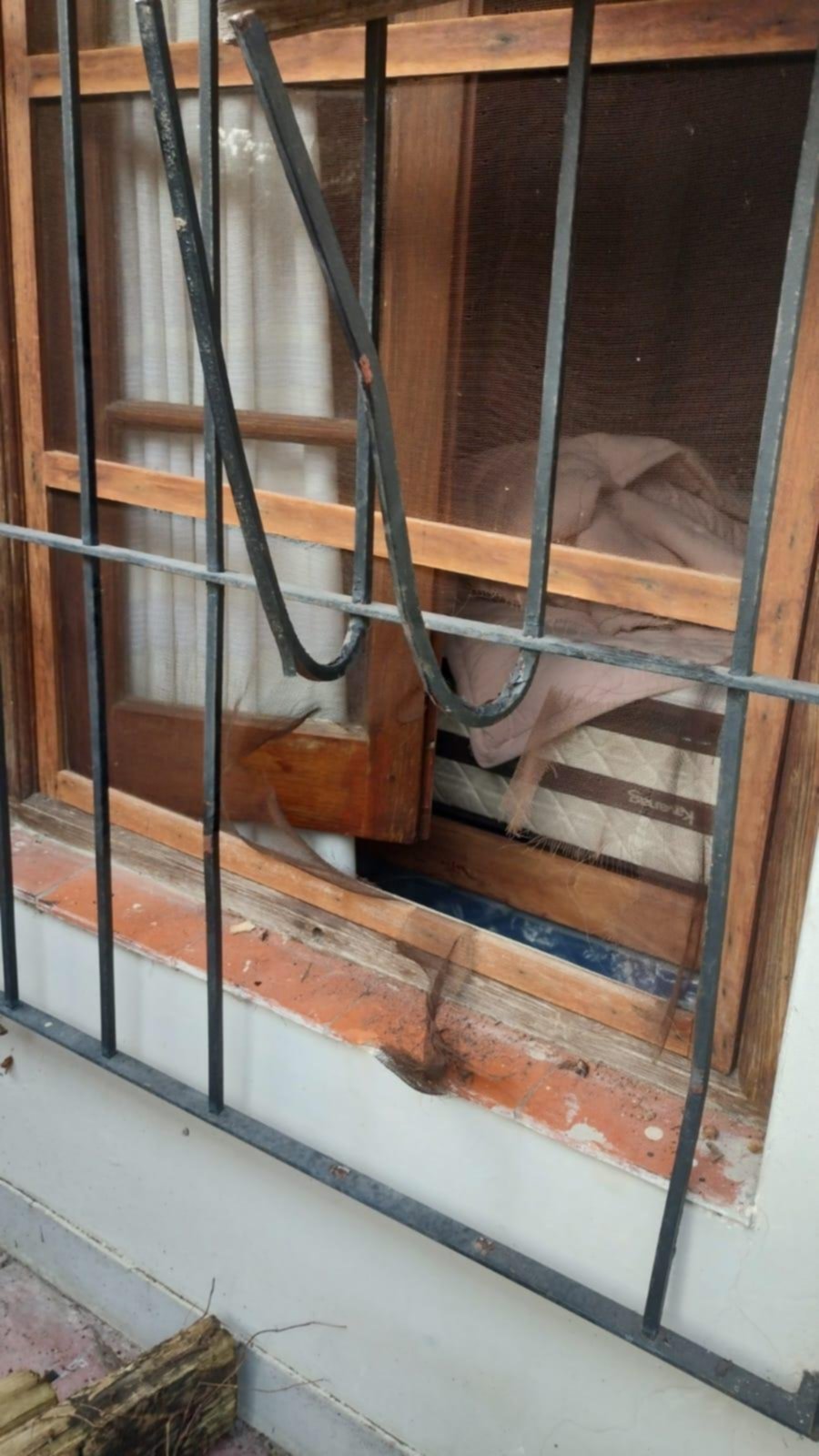 Robaron en la casa de una investigadora del Conicet de La Plata: sonó la alarma, la destrozaron y siguieron adentro