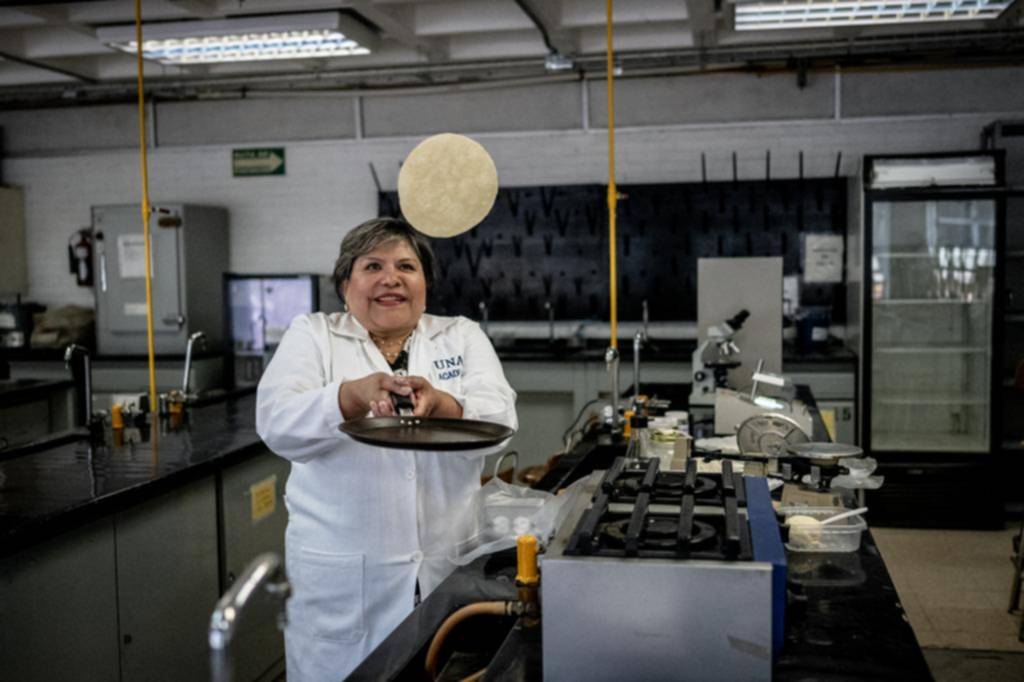 La tortilla nutritiva que “se la banca” sin heladera