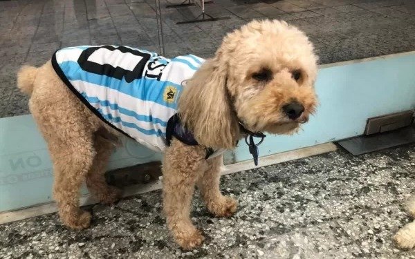 Miércoles fresco y otoñal en La Plata: ¿cómo sigue el tiempo?
