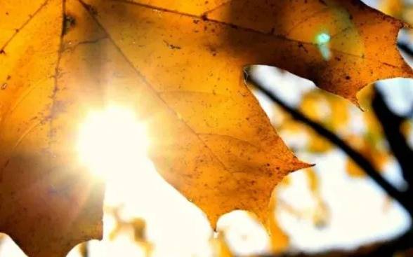 Miércoles de sol otoñal