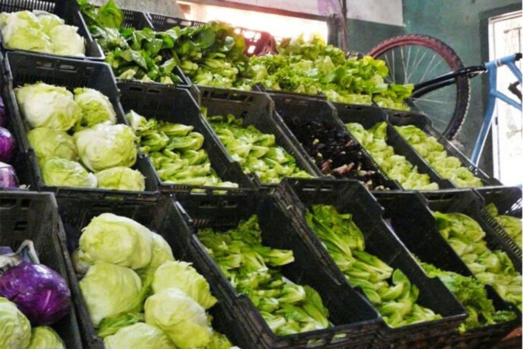 Fruta y verdura en baja: falta de venta y precios pisados