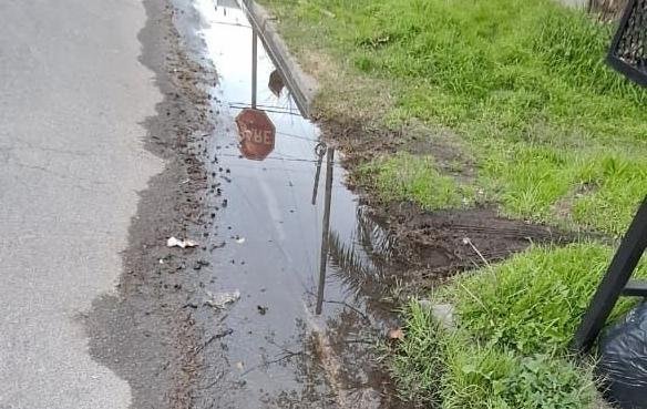 En Ringuelet piden por el arreglo de una avería en la red de agua: “Es un río”