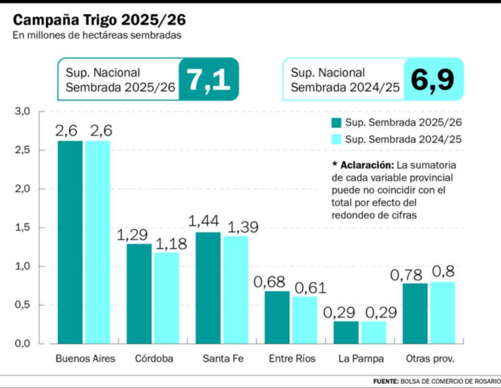 Firme avance del trigo, pese al agua y ante una campaña 2025/26 incierta