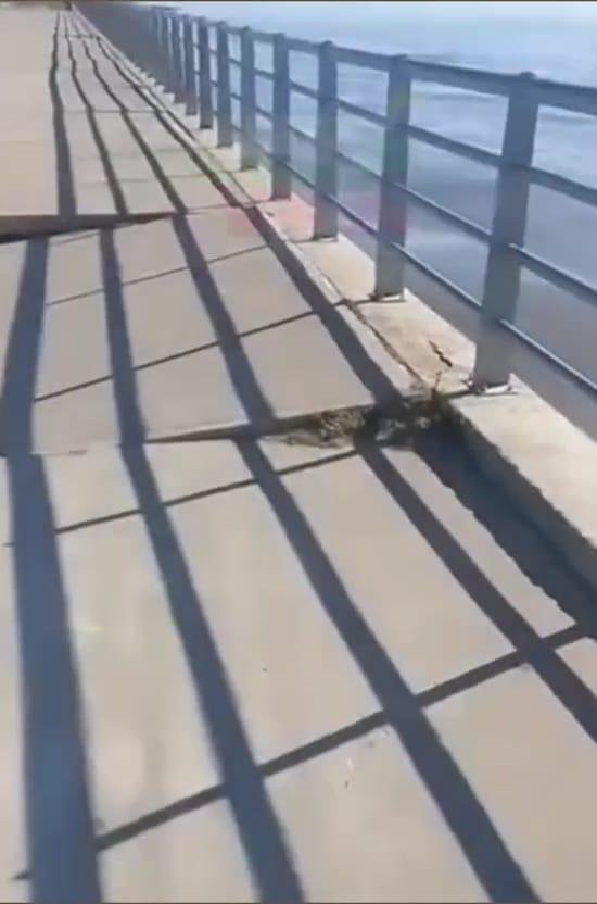 Susto al hundirse un tramo del paseo costero