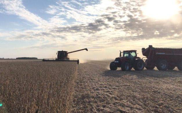 El campo apura la venta de soja antes que vuelvan a subir las retenciones