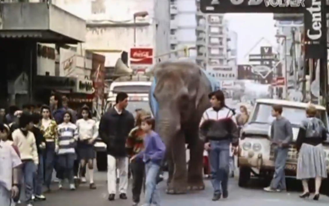 "Un elefante en banda": la película platense que nunca salió a la luz pero sorprendió a todos